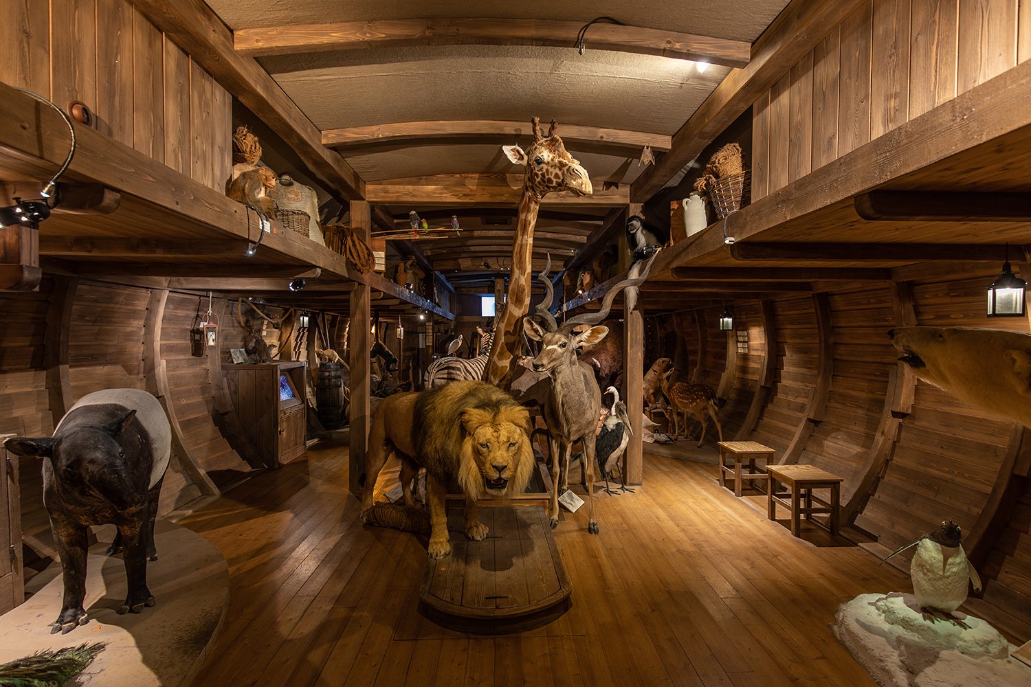 🏛️ 자연사 박물관(나투어쿤데무제움 에어푸르트)